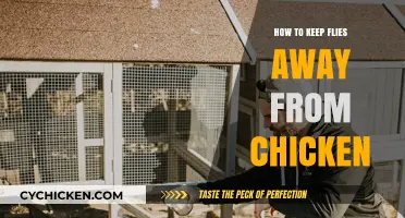 Effective Ways to Keep Flies Away from Your Chicken Coop
