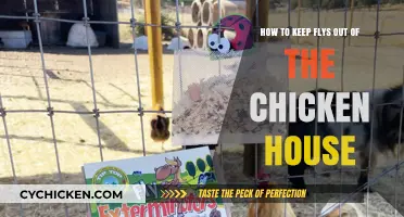 Keep Flies Away: Simple Chicken Coop Tricks