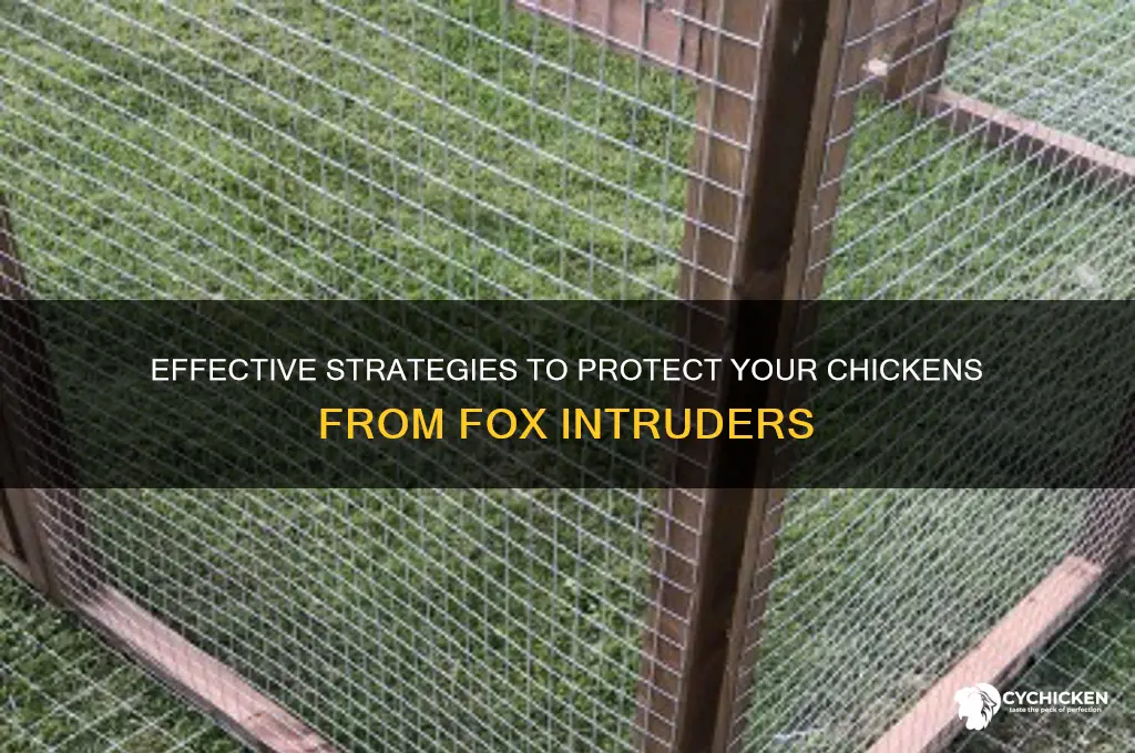 how to keep fox out of chicken pen
