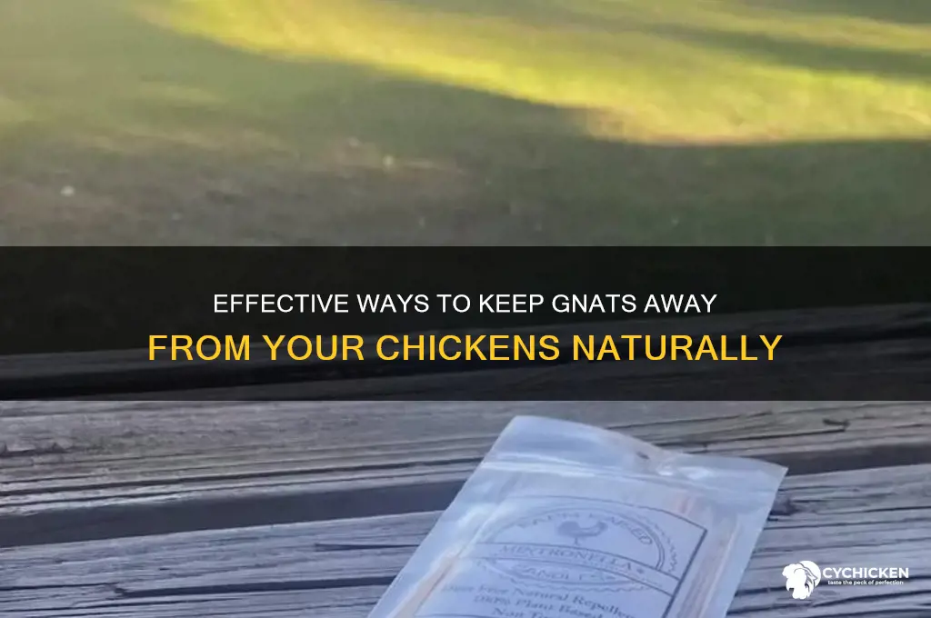 how to keep gnats away from chicken