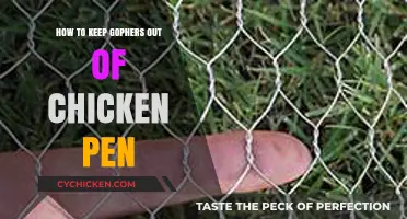 Effective Strategies to Protect Your Chicken Pen from Gopher Intruders