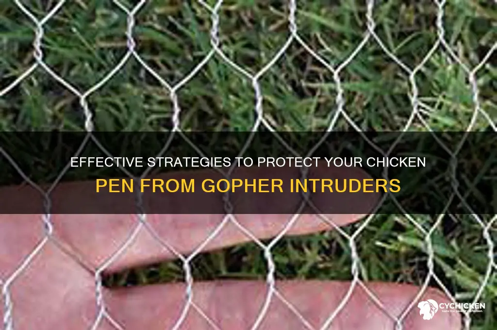 how to keep gophers out of chicken pen