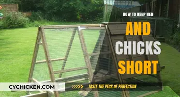 Maintaining Compact Hen and Chicks: Simple Tips for Shorter Growth