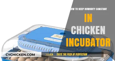 Maintaining Optimal Humidity Levels in Your Chicken Incubator: A Guide