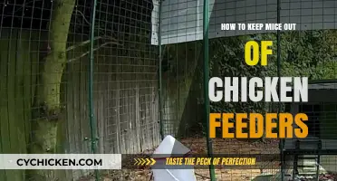 Effective Strategies to Keep Mice Away from Chicken Feeders
