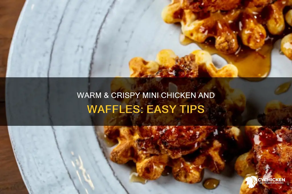how to keep mini chicken and waffles warm