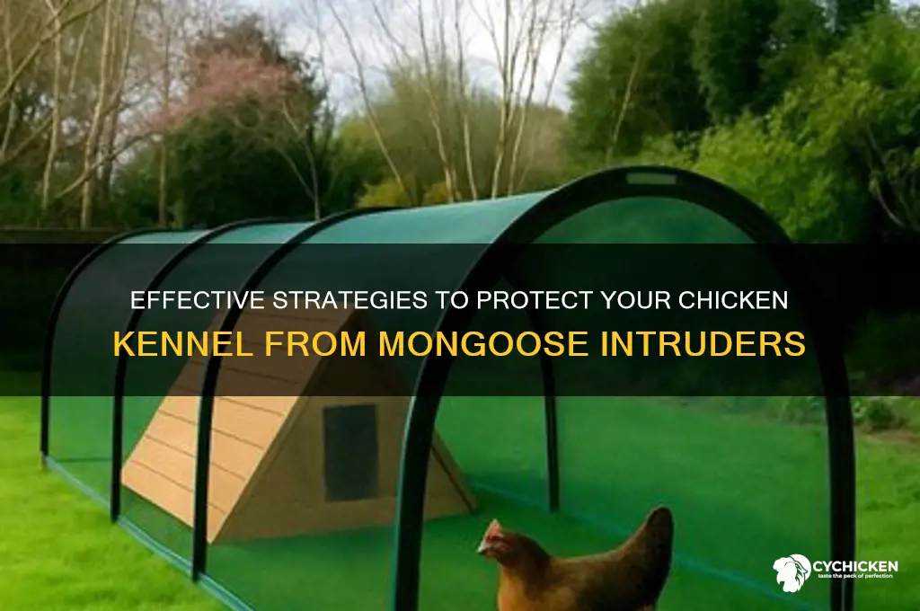 how to keep mongoose out of chicken kennel