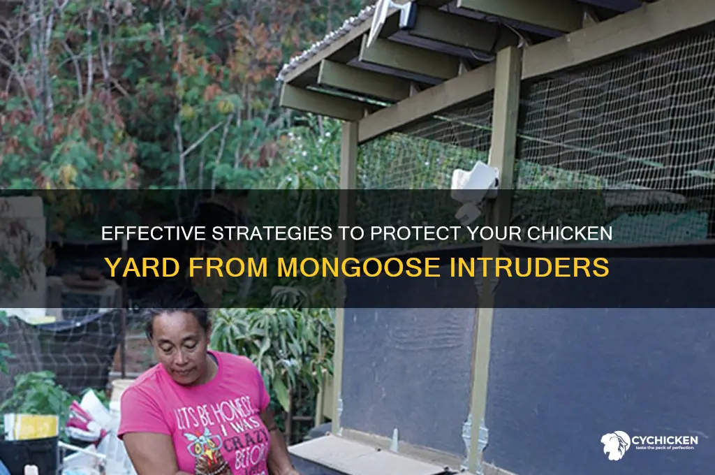 how to keep mongoose out of chicken yard