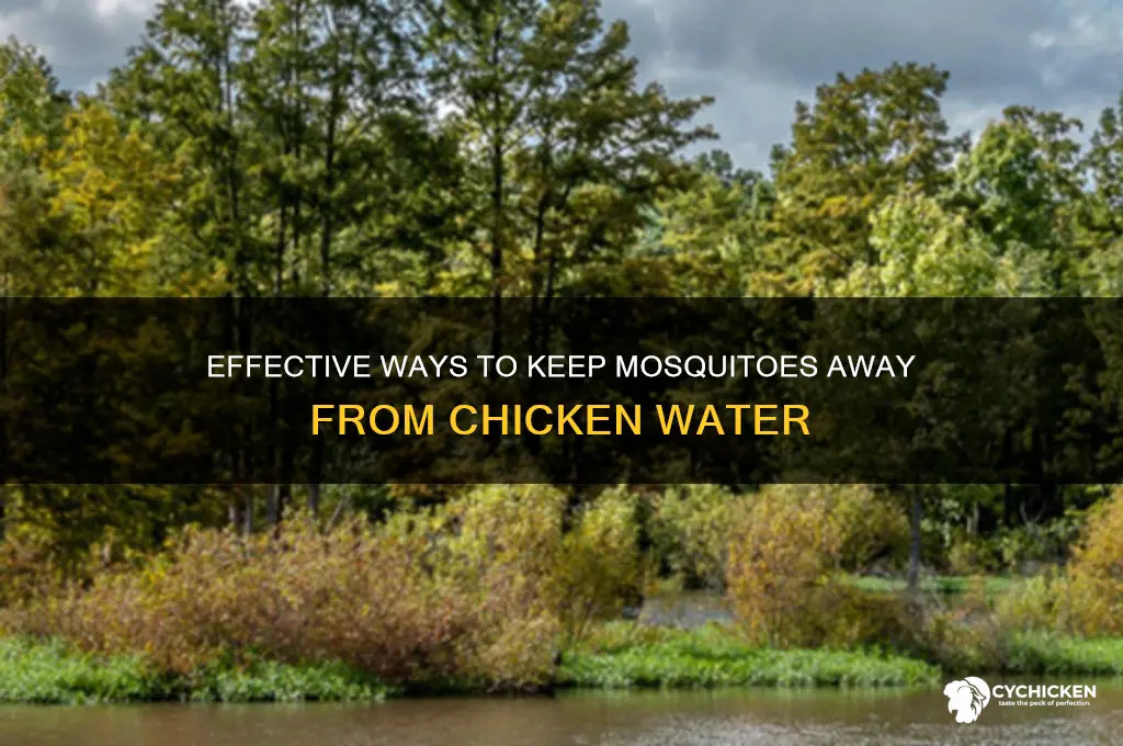 how to keep mosquitoes out of chicken water