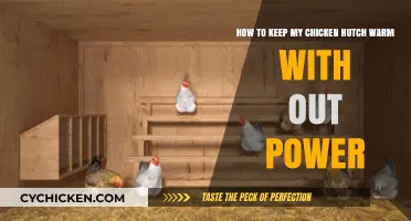 Keeping Chickens Cozy: Off-Grid Hutch Warming Tips