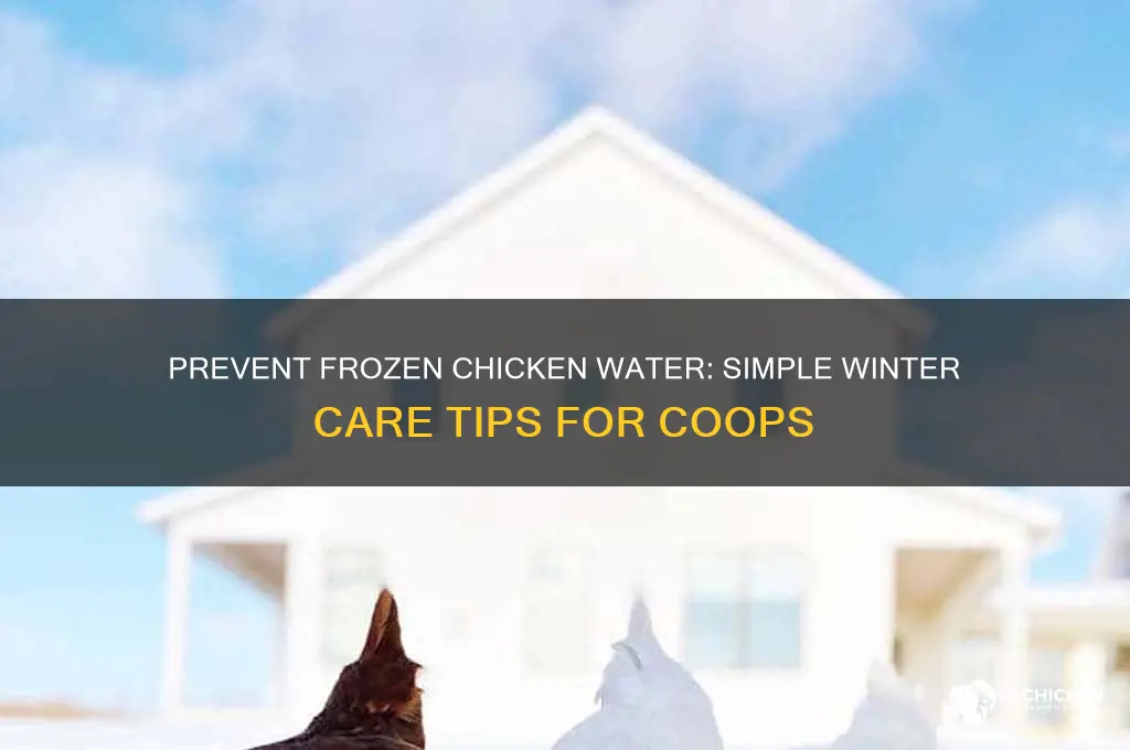 how to keep my chicken water from freezing