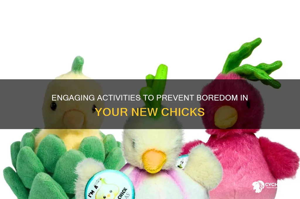 how to keep new chicks from being bored