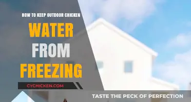 Prevent Frozen Chicken Water: Simple Winter Care Tips for Coops