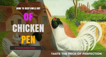 Protecting Your Flock: Effective Strategies to Deter Owls from Chicken Pens