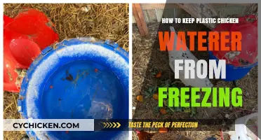 Preventing Your Plastic Chicken Waterer from Freezing in Winter