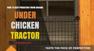 Protecting Chickens: Secure Tractor to Prevent Predators