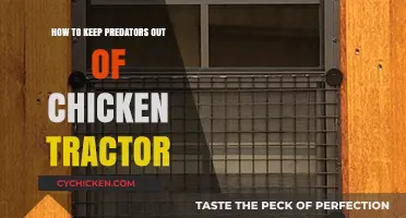 Secure Your Chicken Tractor: Effective Predator-Proofing Tips for Safety