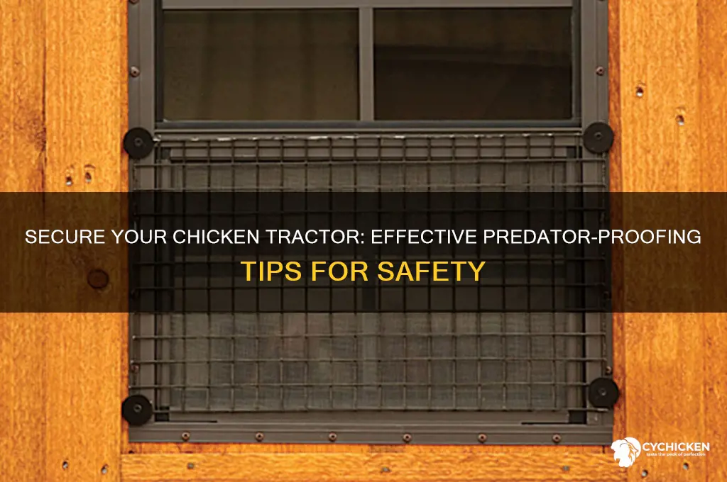 how to keep predators out of chicken tractor