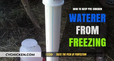Prevent PVC Chicken Waterer Freezing: Simple Winter Care Tips