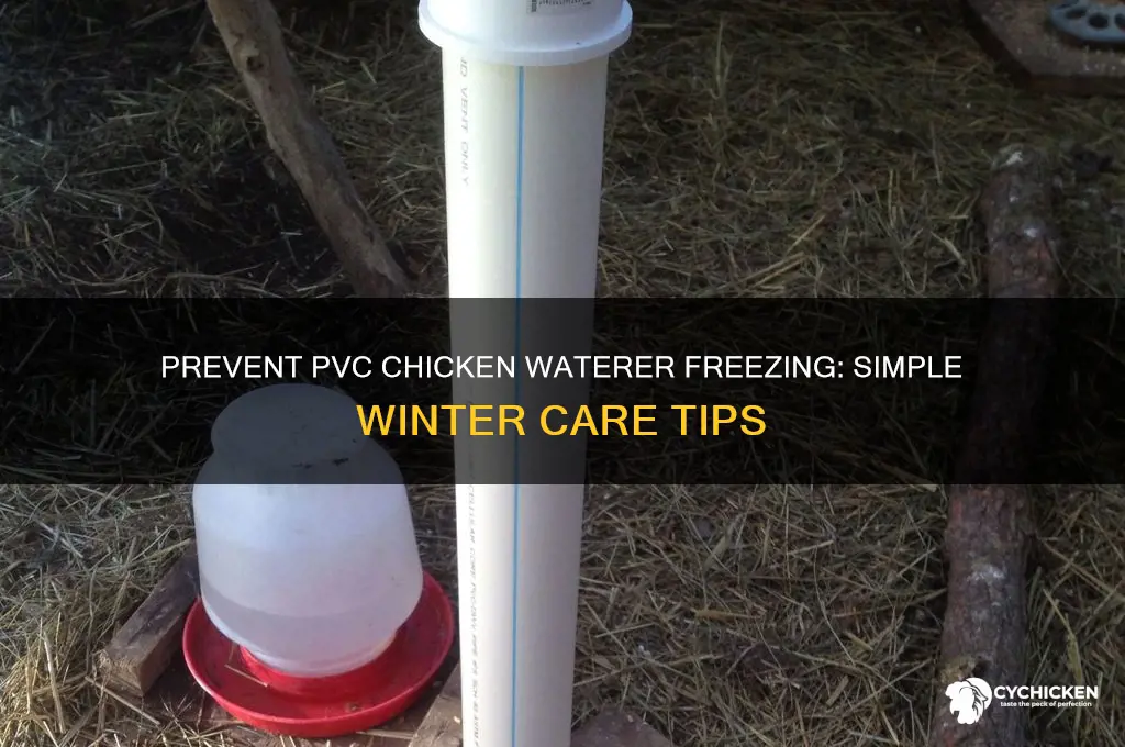 how to keep pvc chicken waterer from freezing