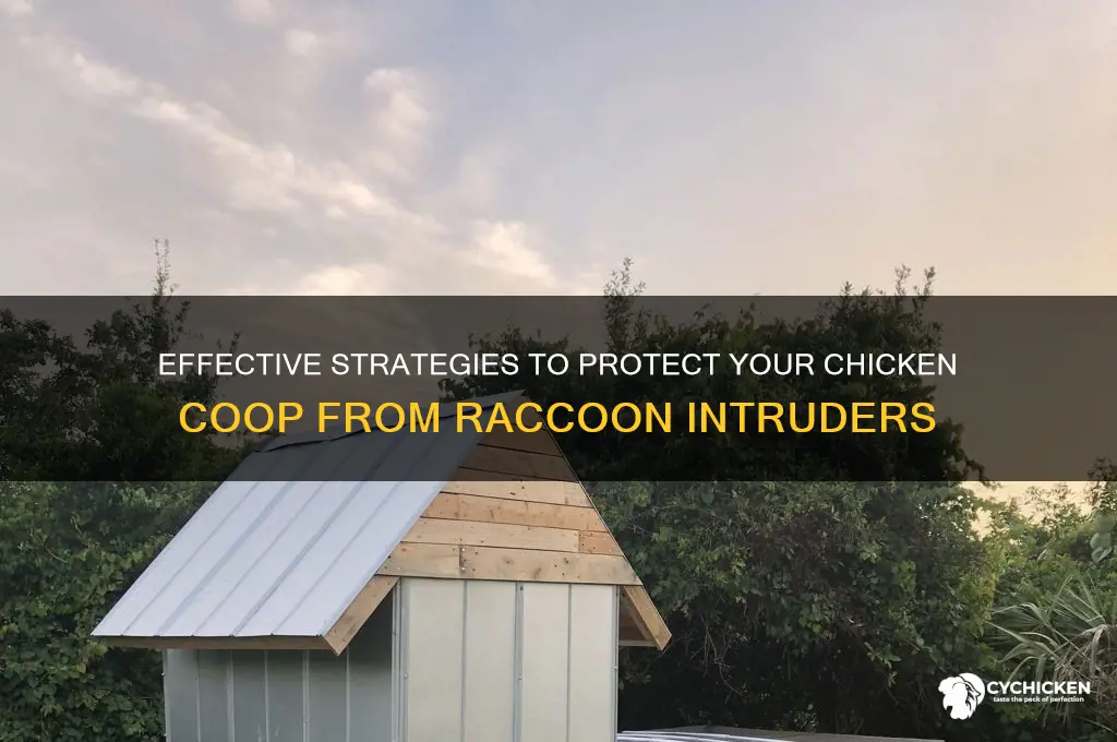 how to keep racoons out of chicken house