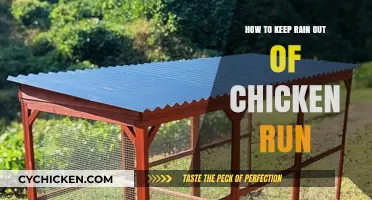 Effective Ways to Keep Your Chicken Run Dry in Rainy Weather