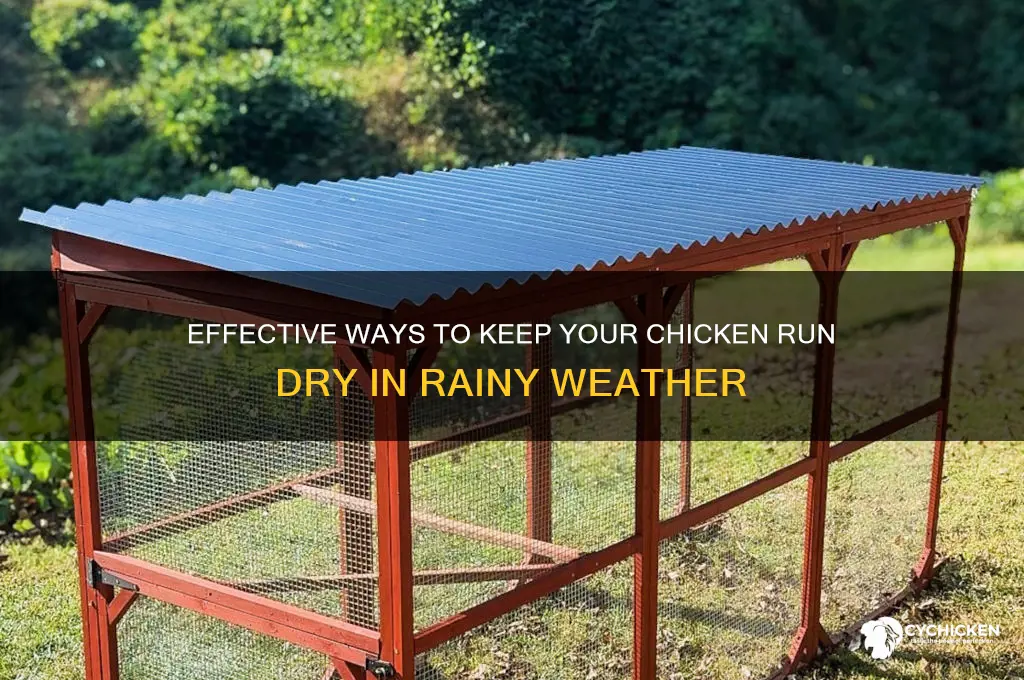 how to keep rain out of chicken run