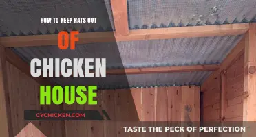 Effective Strategies to Keep Rats Away from Your Chicken Coop