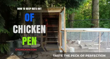 Effective Strategies to Keep Rats Away from Your Chicken Coop