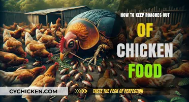 Effective Strategies to Keep Roaches Away from Chicken Feed