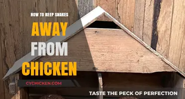 Effective Strategies to Protect Your Chickens from Snakes Safely