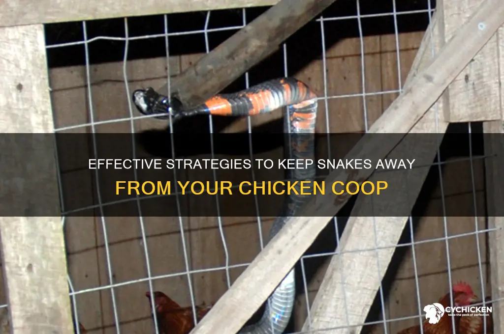 how to keep snakes out of chicken house