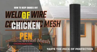 Effective Strategies to Protect Your Chickens from Snakes in the Pen