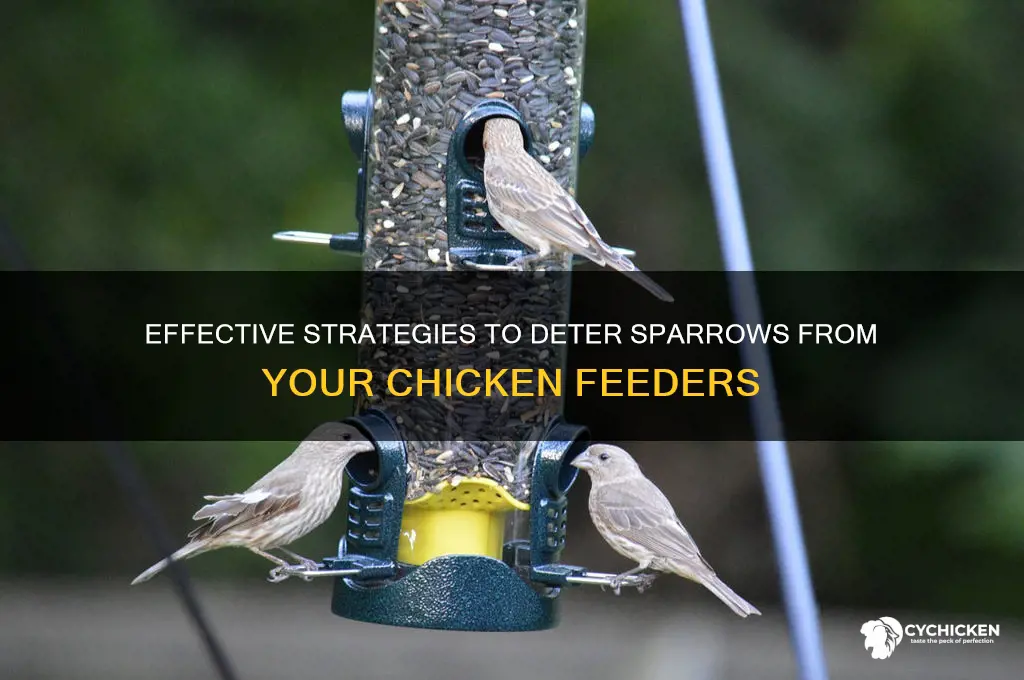how to keep sparrows away from chicken feeders