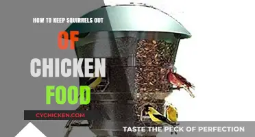 Protect Your Chicken Feed: Effective Strategies to Deter Squirrels
