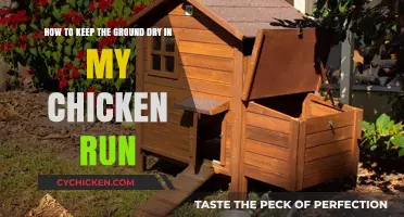 Strategies for a Dry Chicken Run