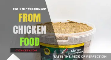 Protecting Chicken Food: Deterring Wild Birds