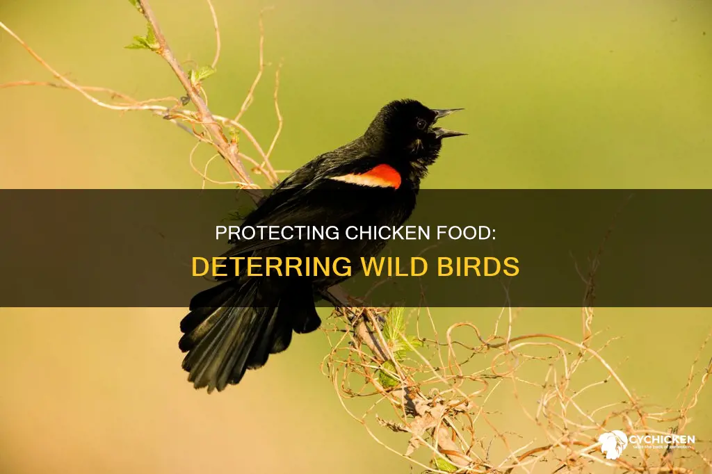 how to keep wild birds away from chicken food