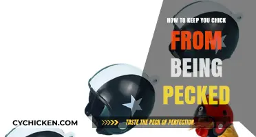 Protect Your Chick: Effective Strategies to Prevent Pecking in Flocks