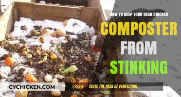 Keeping Chicken Composters Odor-Free: Tips and Tricks