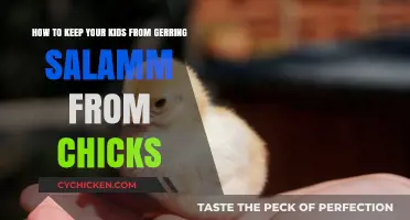 Protecting Your Child: Preventing Salmonella From Chicks