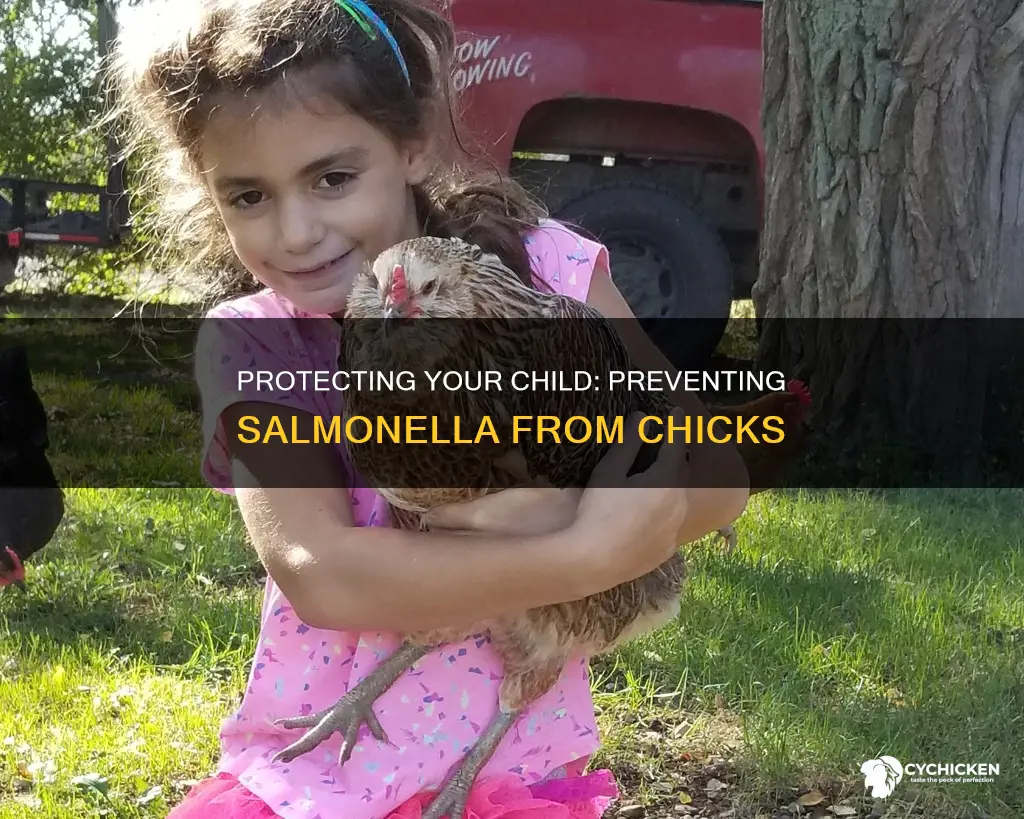 how to keep your kids from gerring salamm from chicks