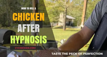Hypnotic Poultry Processing: Humane Chicken Dispatch Techniques Explained