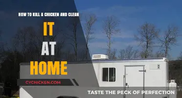 The Art of Killing and Cleaning a Chicken at Home