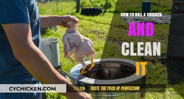 Humane Chicken Butchering and Cleaning: A Step-by-Step Guide