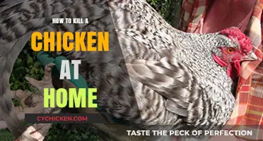 Humane Home Chicken Processing: A Step-by-Step Guide for Beginners