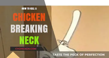 Quick and Humane: How to Kill a Chicken by Breaking Its Neck
