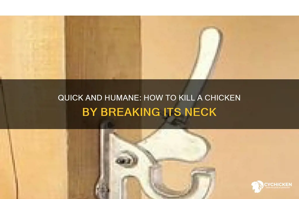 how to kill a chicken breaking neck