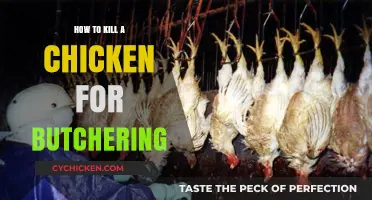 Humane Chicken Butchering: A Step-by-Step Guide to Slaughtering Poultry