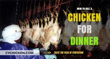 Humane Chicken Butchering: A Step-by-Step Guide for Home-Cooked Meals
